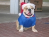 2004_Christmas In The Plaza_11